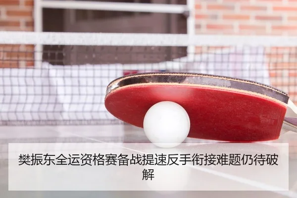樊振东全运资格赛备战提速反手衔接难题仍待破解